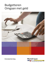 Budgetteren