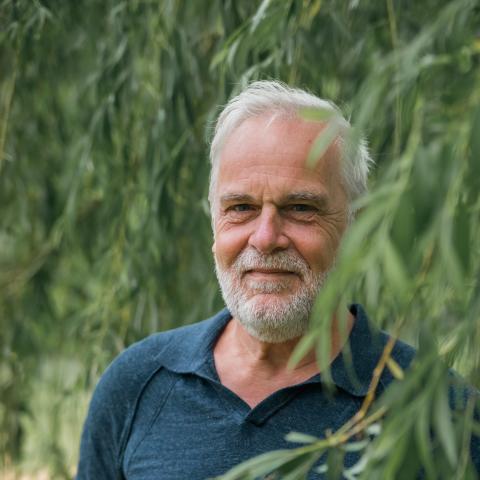 Portret man met baard in groen